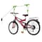 Leisure Sports 2009 Leisure Sports Bicycle Garage Storage Lift Bike Hoist 100LB Capacity Heavy Duty 659001RIY - alternate 1